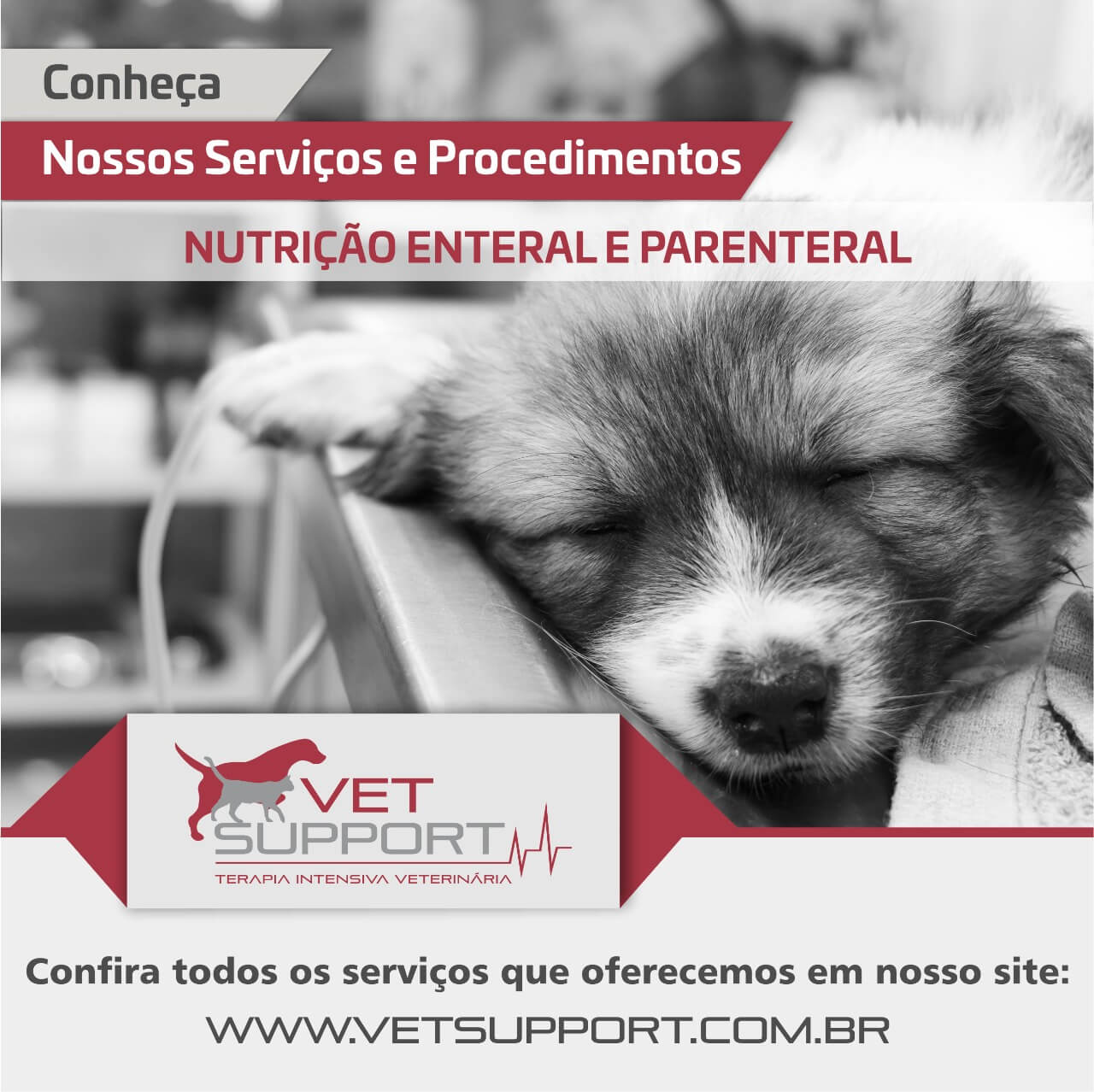 Nutrição enteral e paraenteral