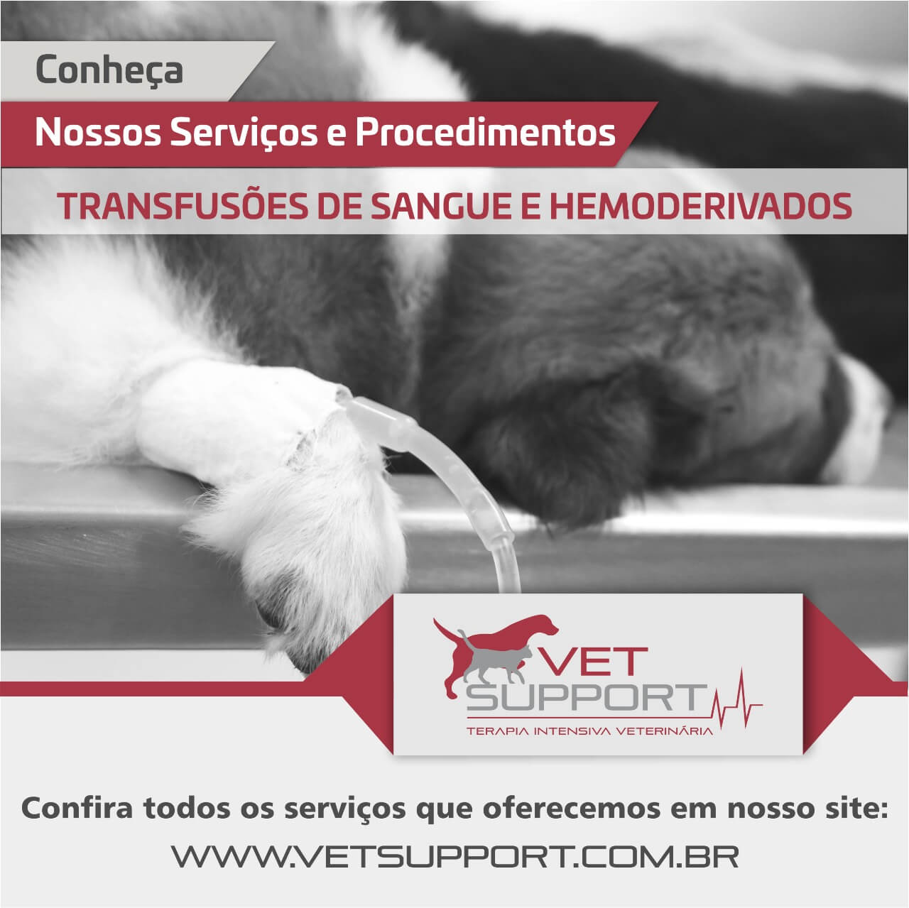 Transfusões de sangue e hemoderivados