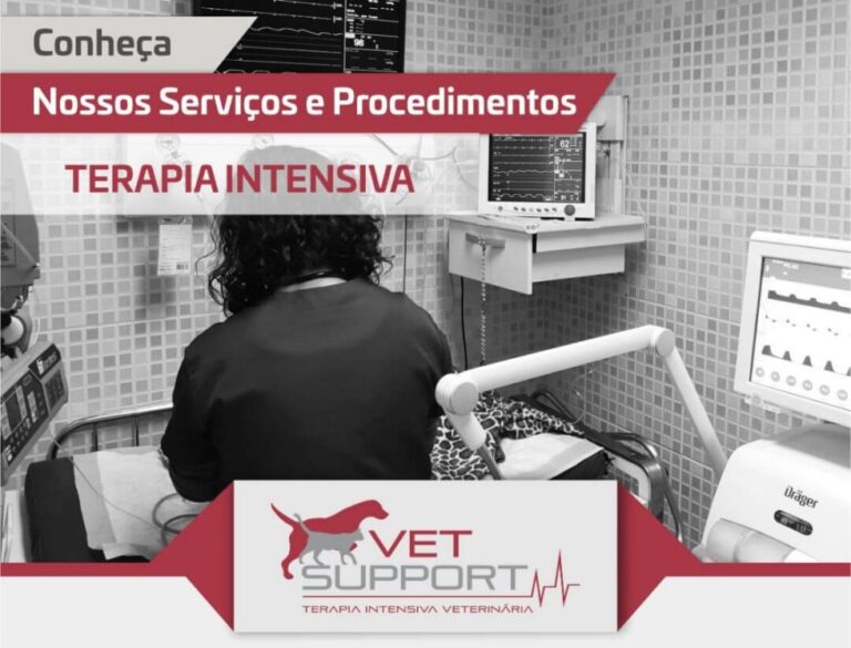 terapia-intensiva-veterinaria-caes-gatos-internacao-UTI-vet-980x746